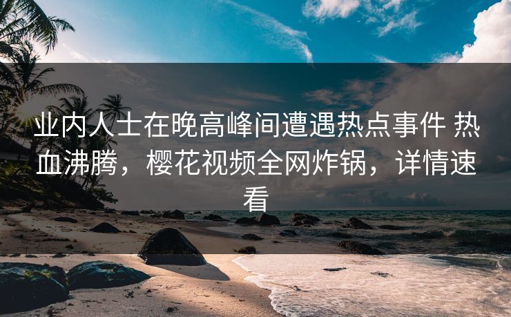 业内人士在晚高峰间遭遇热点事件 热血沸腾，樱花视频全网炸锅，详情速看
